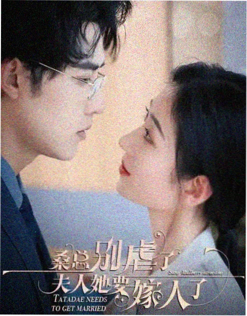 91在线下载 狂飙 电视剧全集
